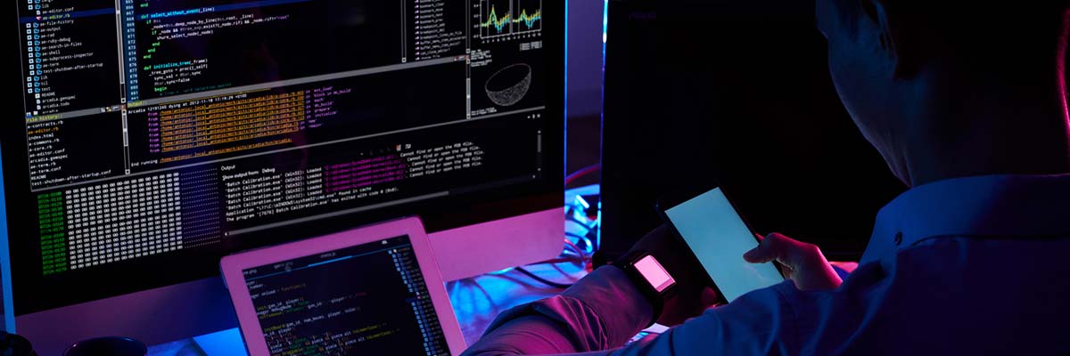 Software Development